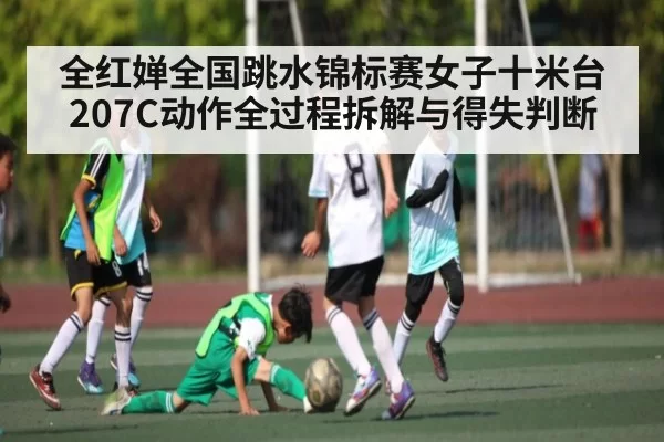 全红婵全国跳水锦标赛女子十米台207C动作全过程拆解与得失判断